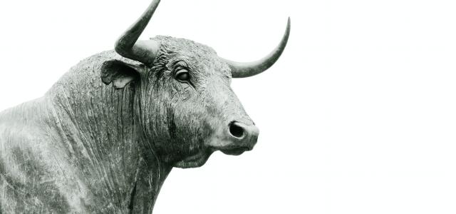 The Bull is Back... Will it Keep Charging? | Esparza Group